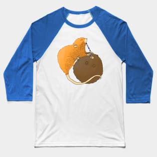 Uromys vika or Vangunu giant rat sipping a coconut Baseball T-Shirt